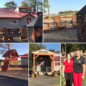 cabane-a-pommes-montage