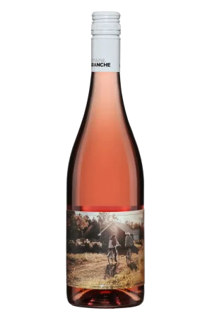 Vin Rosé - Moment de plaisir